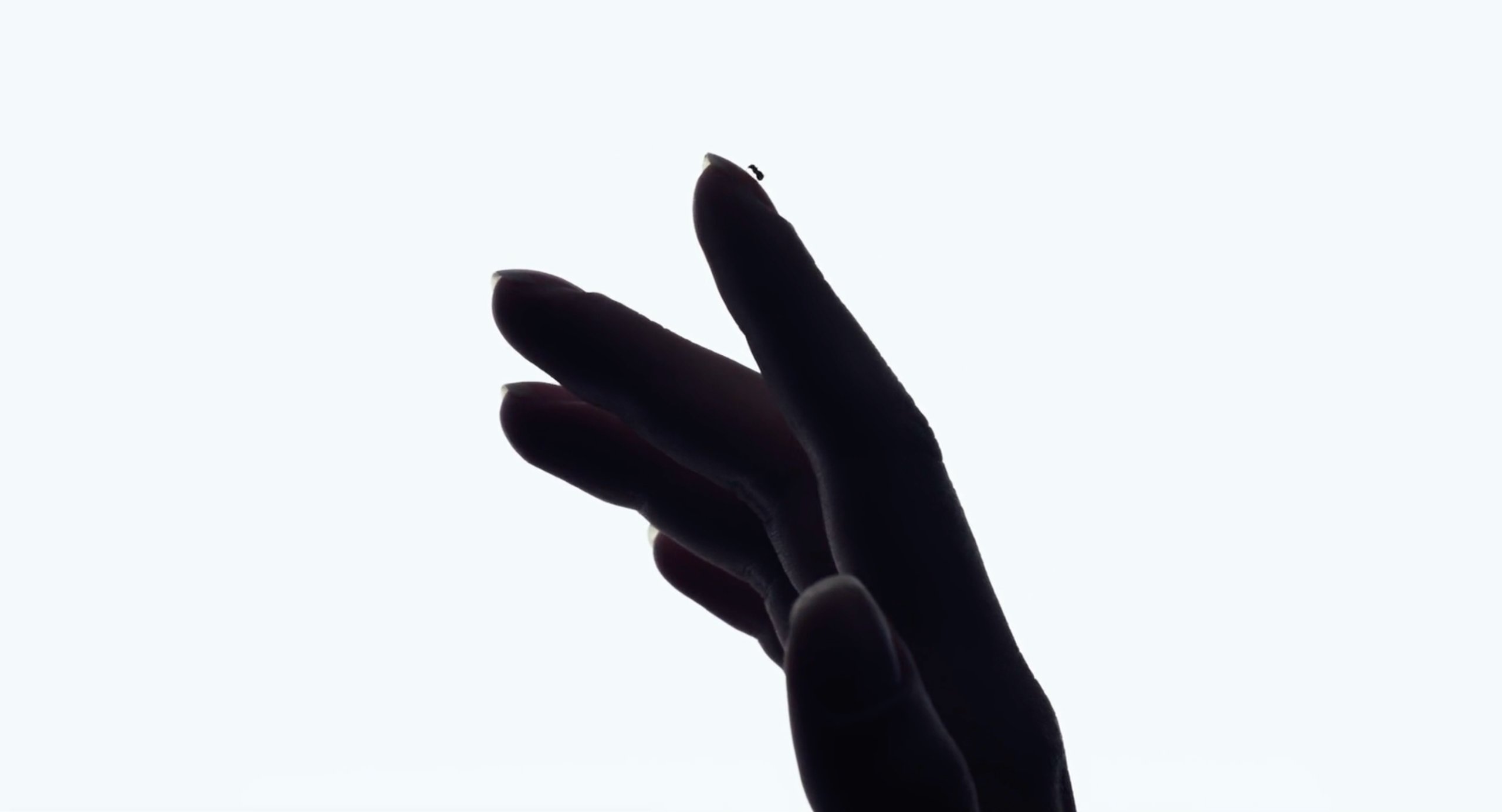 An ant crawls on Scarlett Johansson's hand at the beginning of Under the Skin