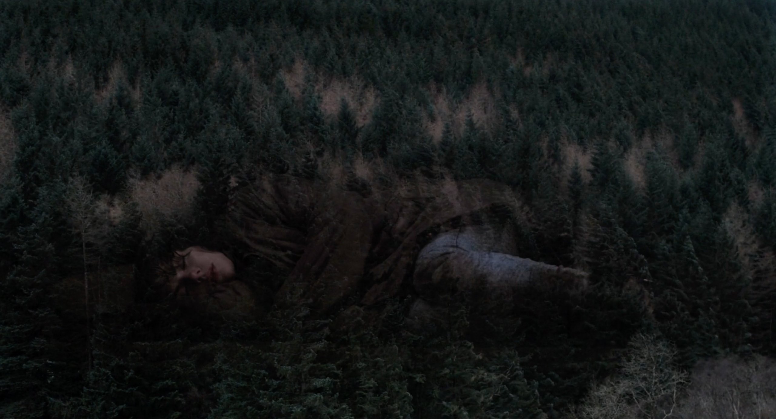Scarlett Johansson fades into the trees of a forest in Under the Skin
