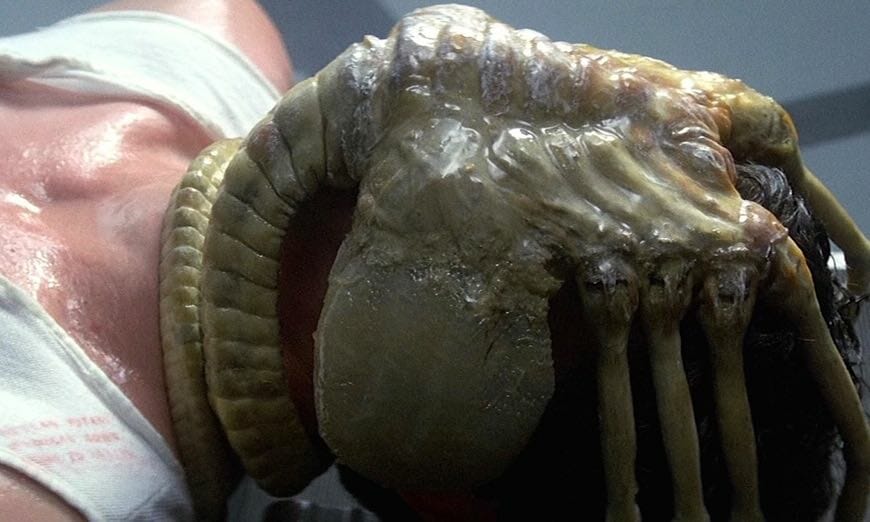 An alien parasite wraps itself around a man's face