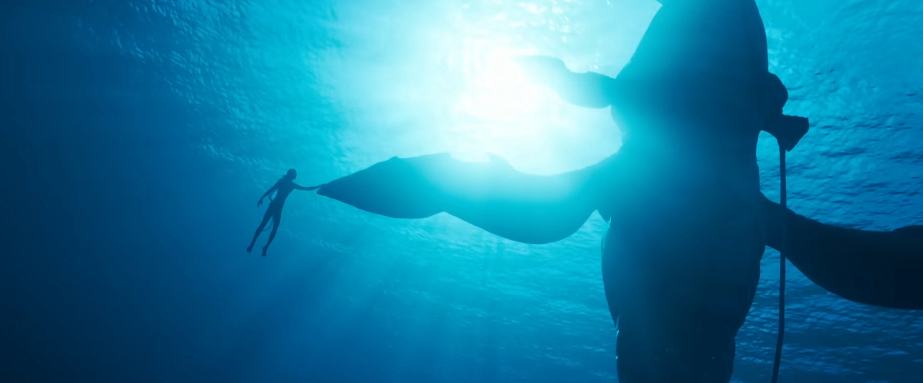 Underwater, a Na'vi touches the fin of the whale-like Tulkun