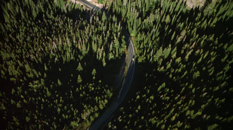 An aerial shot of a car driving through a forest