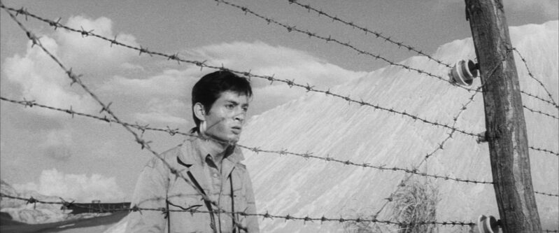 Kaji stands on the other side of a barbwire fence as mountains stand in the background
