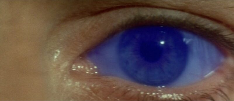 The eye of a woman at the end of Dune