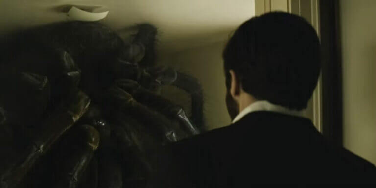 Adam looks at a giant spider on his wall