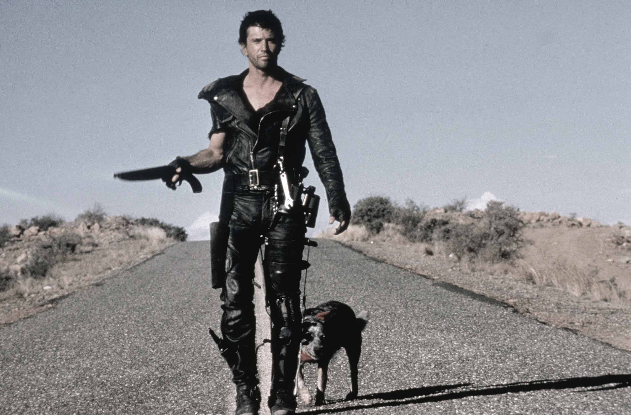 Mad Max walks on the road with his dog, Dog