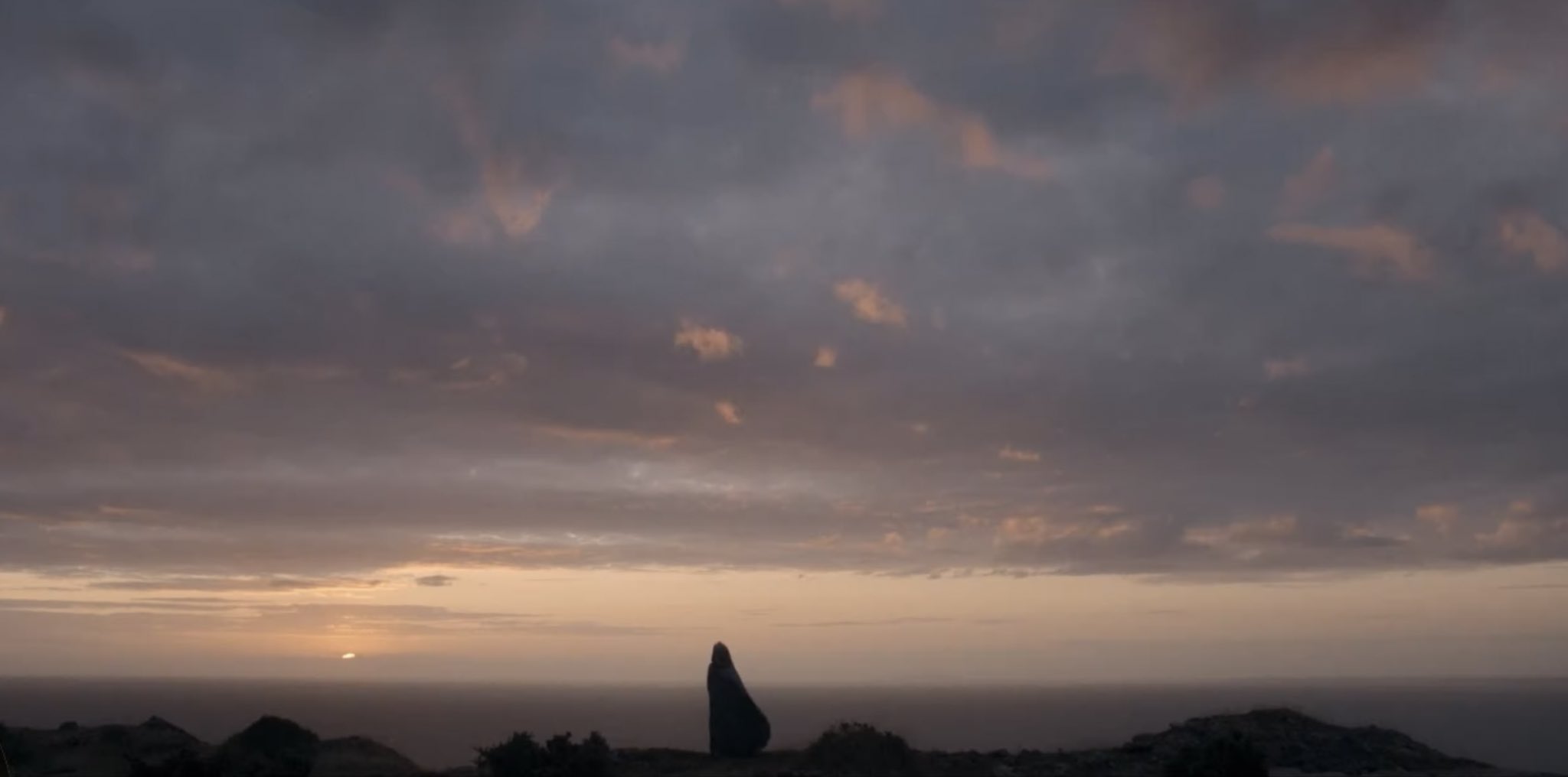 Alicent stands on the edge of a cliff, overlooking the ocean, at sunset