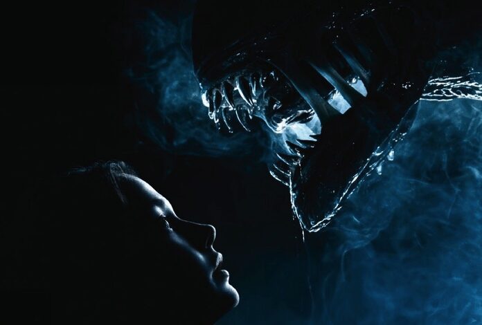 Rain stares at a xenomorph