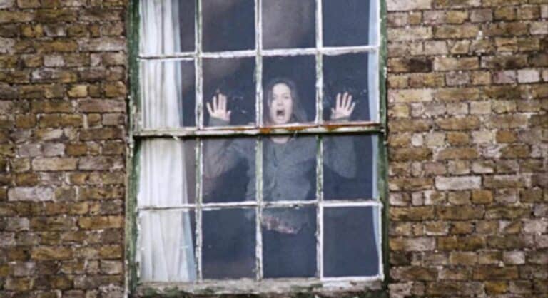 A woman in a window